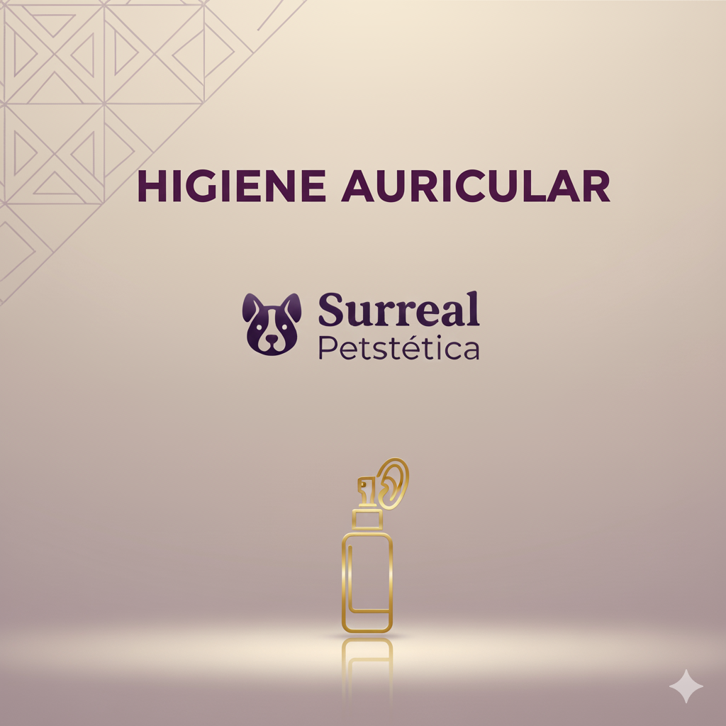 Higiene Auricular