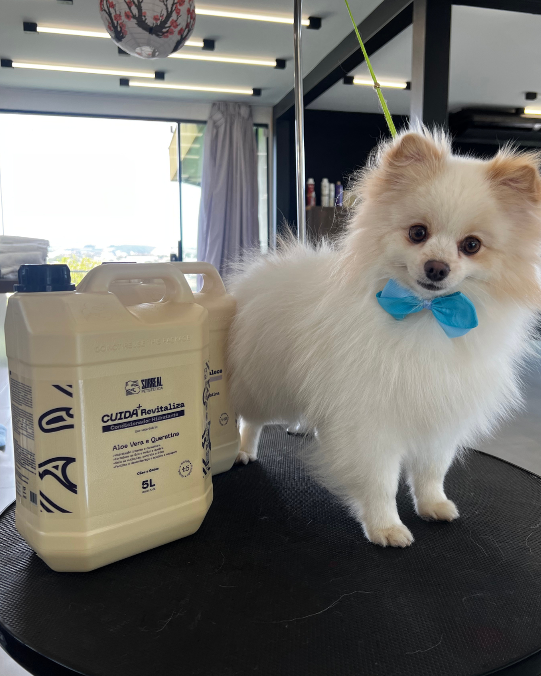 Condicionador CUIDA+ Revitaliza 5L (1:5)