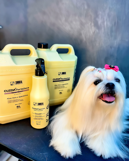 Kit CUIDA+ Surreal - Tratamento completo e econômico para banho profissional diário (3 produtos)