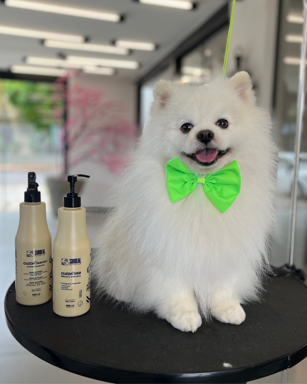 Kit Cuida+ Surreal Performance, Rendimento e Cuidado (4 produtos)